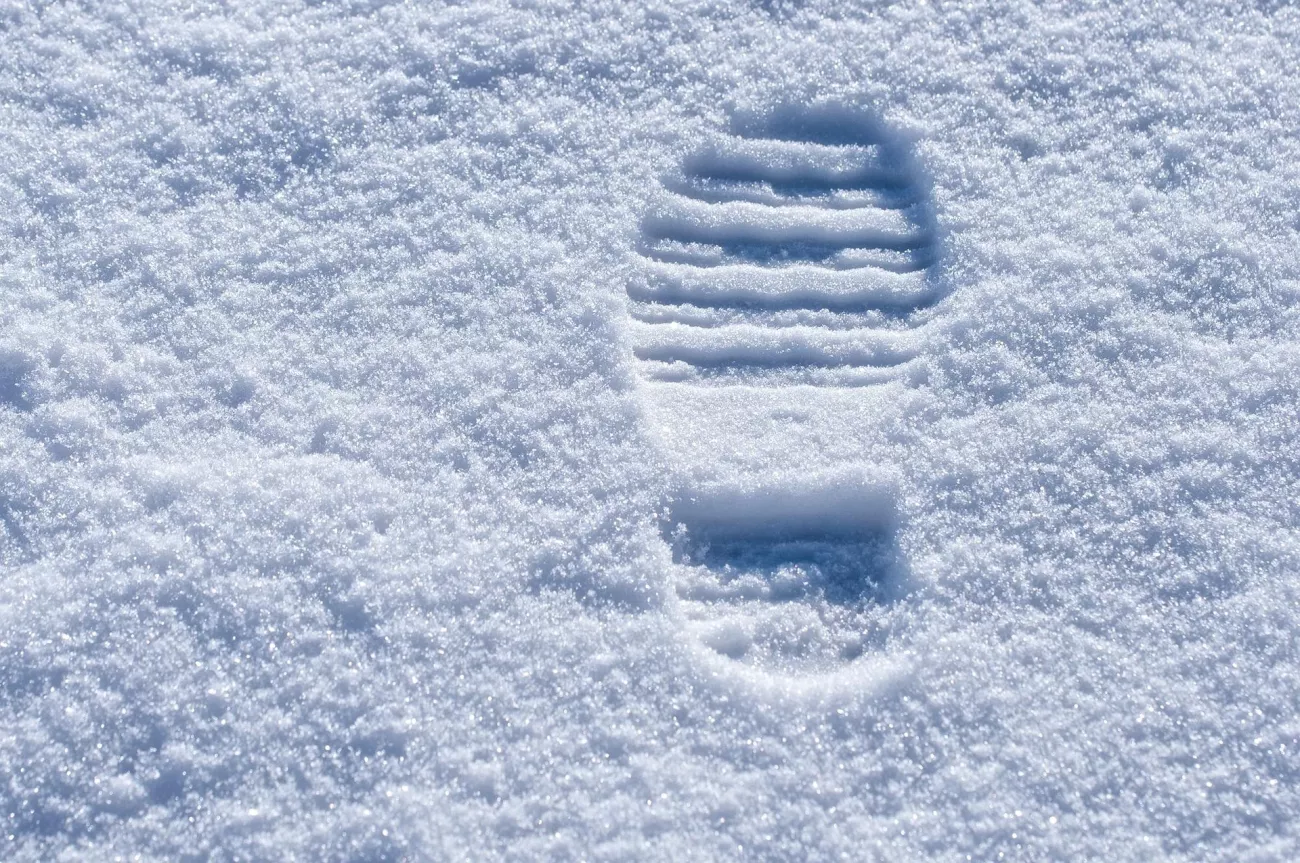 Tracks in snow
